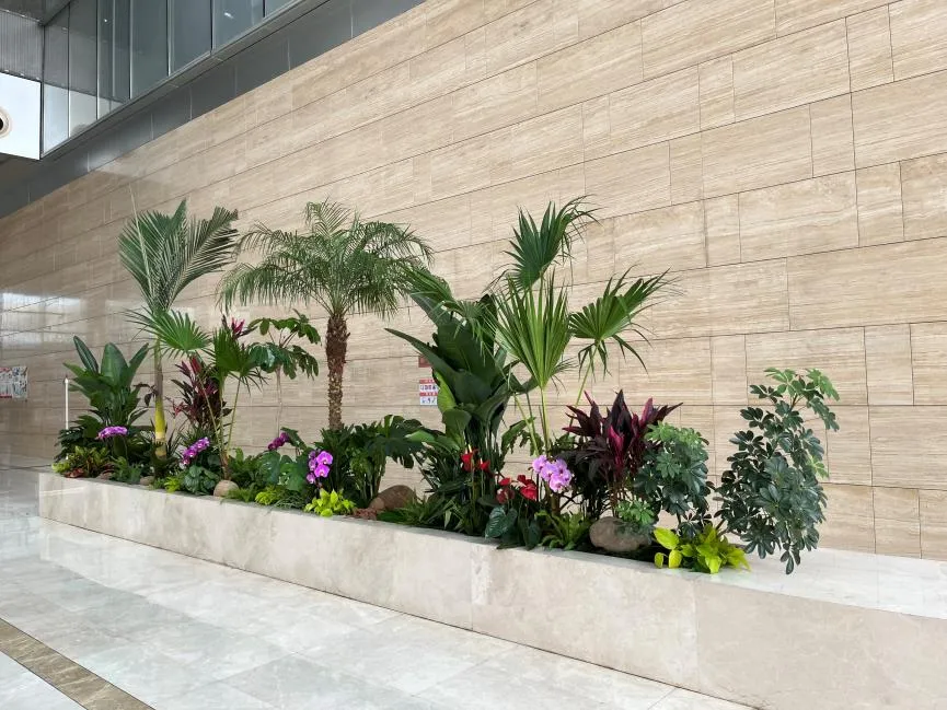 想找北仑优质植物租摆服务？看这就对了！